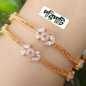 Premium Gold Plated Chandrika Necklace with Earrings (Copy)