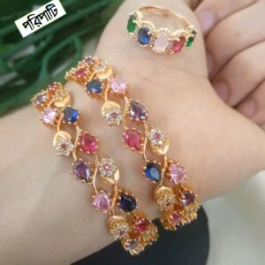 Premium Gold Plated Chandrika Necklace with Earrings (Copy) (Copy)